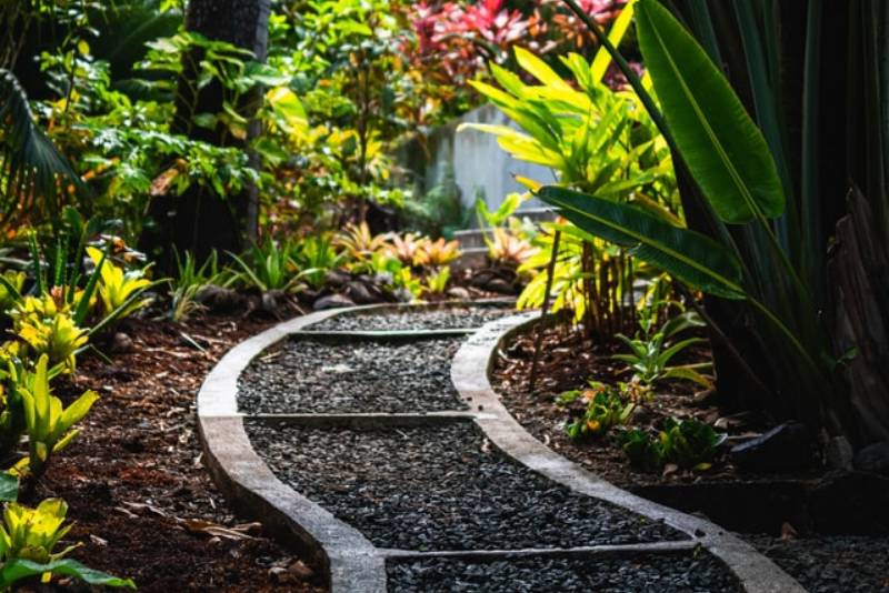 Gravel path winding through tropical foliage